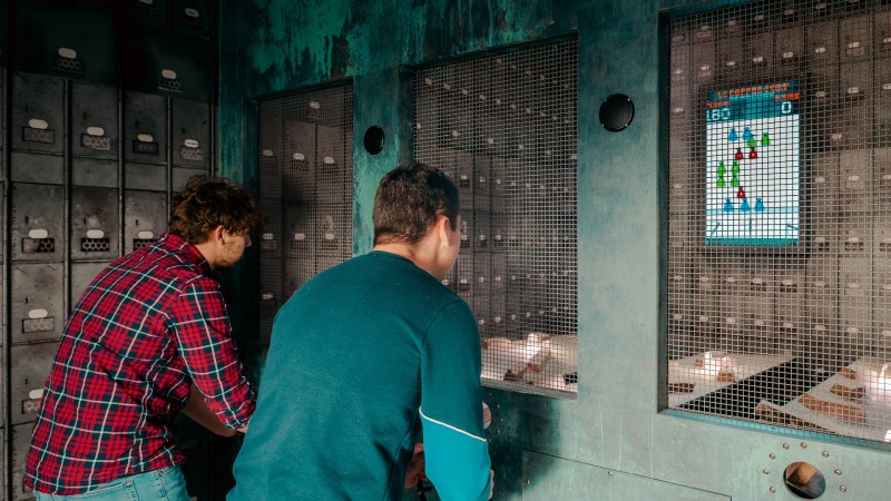 Prison Island + E-chopper Tour